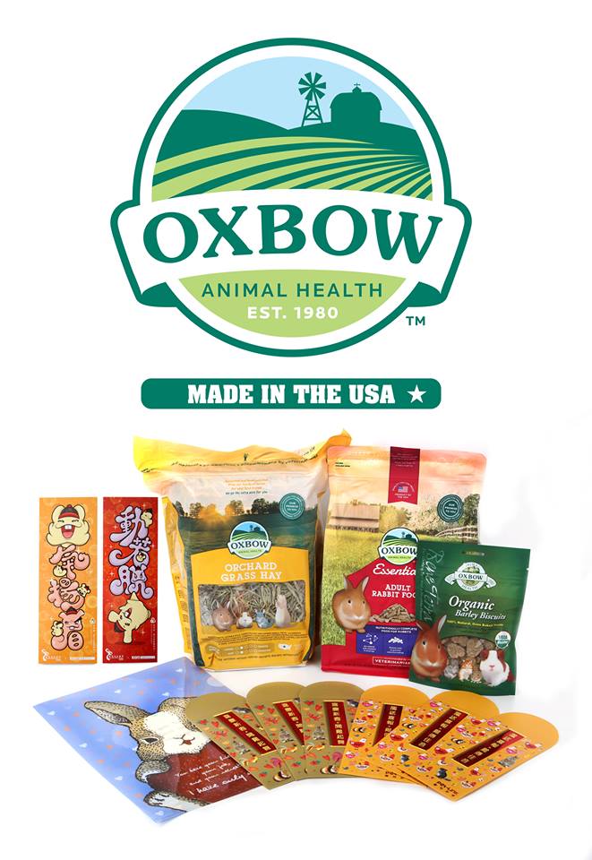 16003023_10158012875780153_7589548697214345830_n