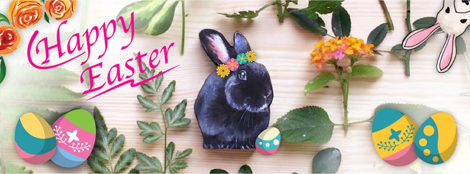 29260976_1345350915610704_2028643870014701568_n